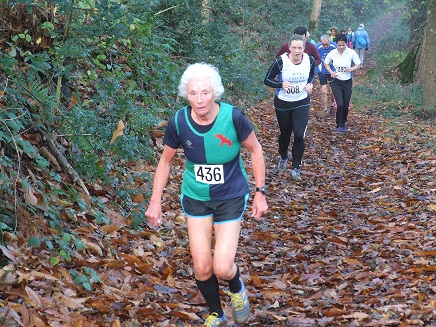 Cross Country Race 2014